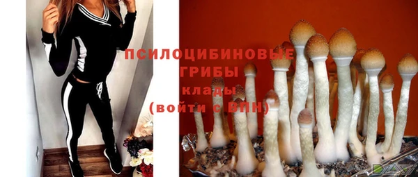 шишки Бронницы