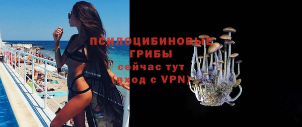 трава Бородино