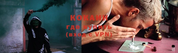шишки Бронницы