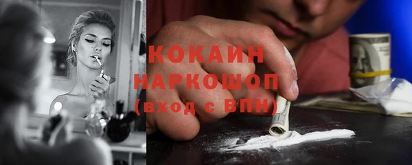 шишки Бронницы